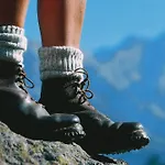 Near Kalkalpen National Park *