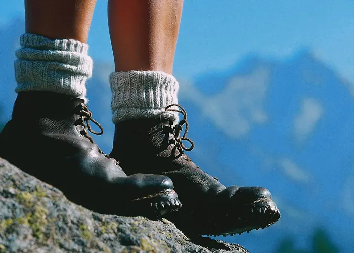 Near Kalkalpen National Park *